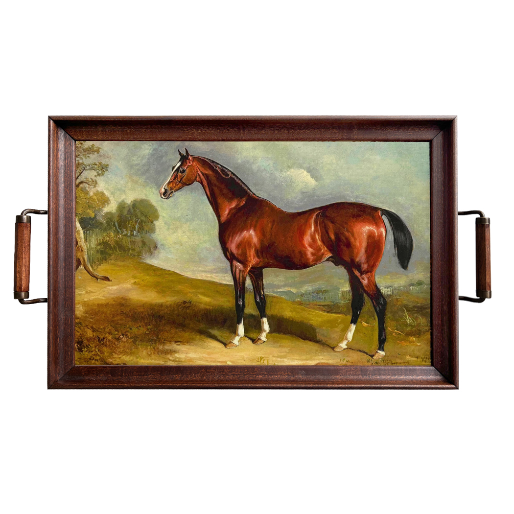 Lodge & Equestrian Decor Decorative Tray Portrait of Sultan Equestrian Decorati ...