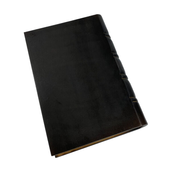 Decorative Boxes Writing 10″ Black Hollow Book Box, Book Safe