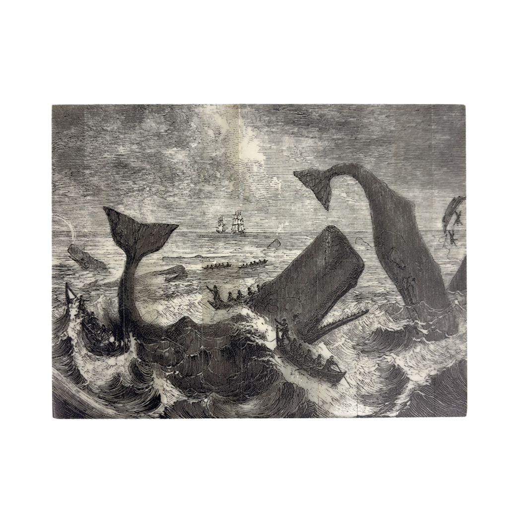 Scrimshaw/Horn & Bone Boxes Nautical 6-1/2″ Pursuit of the Sperm Whale Printed Bone Trinket Box Scrimshaw/Horn & Bone Boxes Nautical 6-1/2″ Pursuit of the Sperm Whale Printed Bone Trinket Box