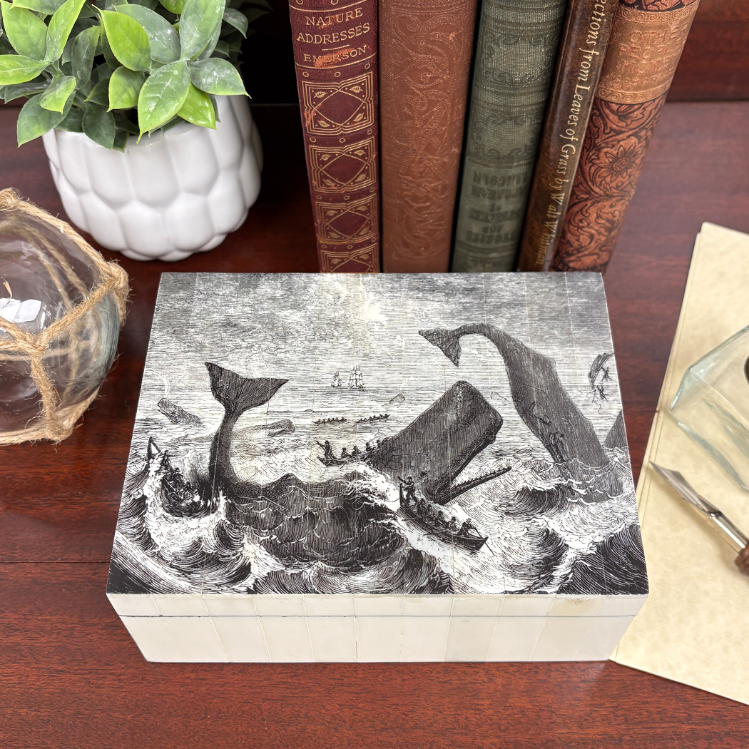 Scrimshaw/Horn & Bone Boxes Nautical 6-1/2″ Pursuit of the Sperm Whal ...