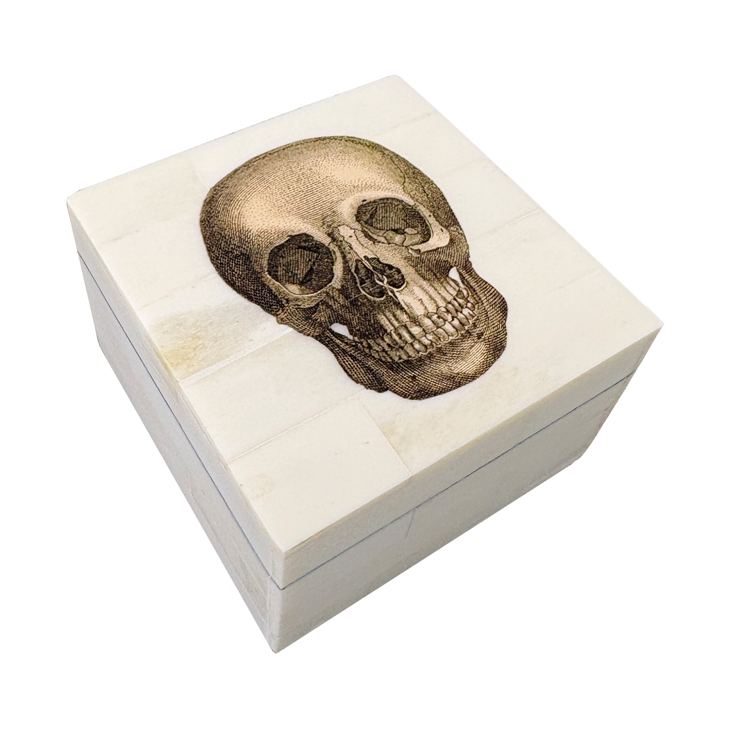 Decorative Boxes Halloween Skull Bone Trinket Box ...