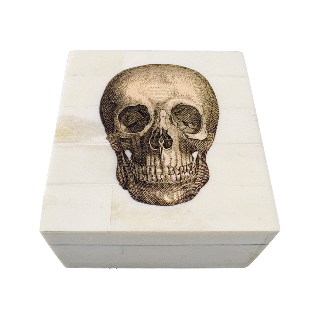 Decorative Boxes Halloween Skull Bone Trinket Box ...