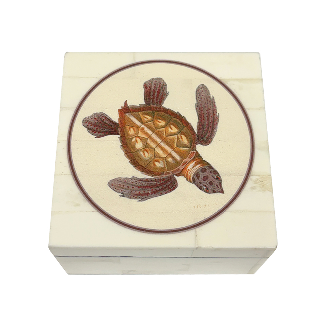 Decorative Boxes Early American Sea Turtle Bone Trinket Box ...