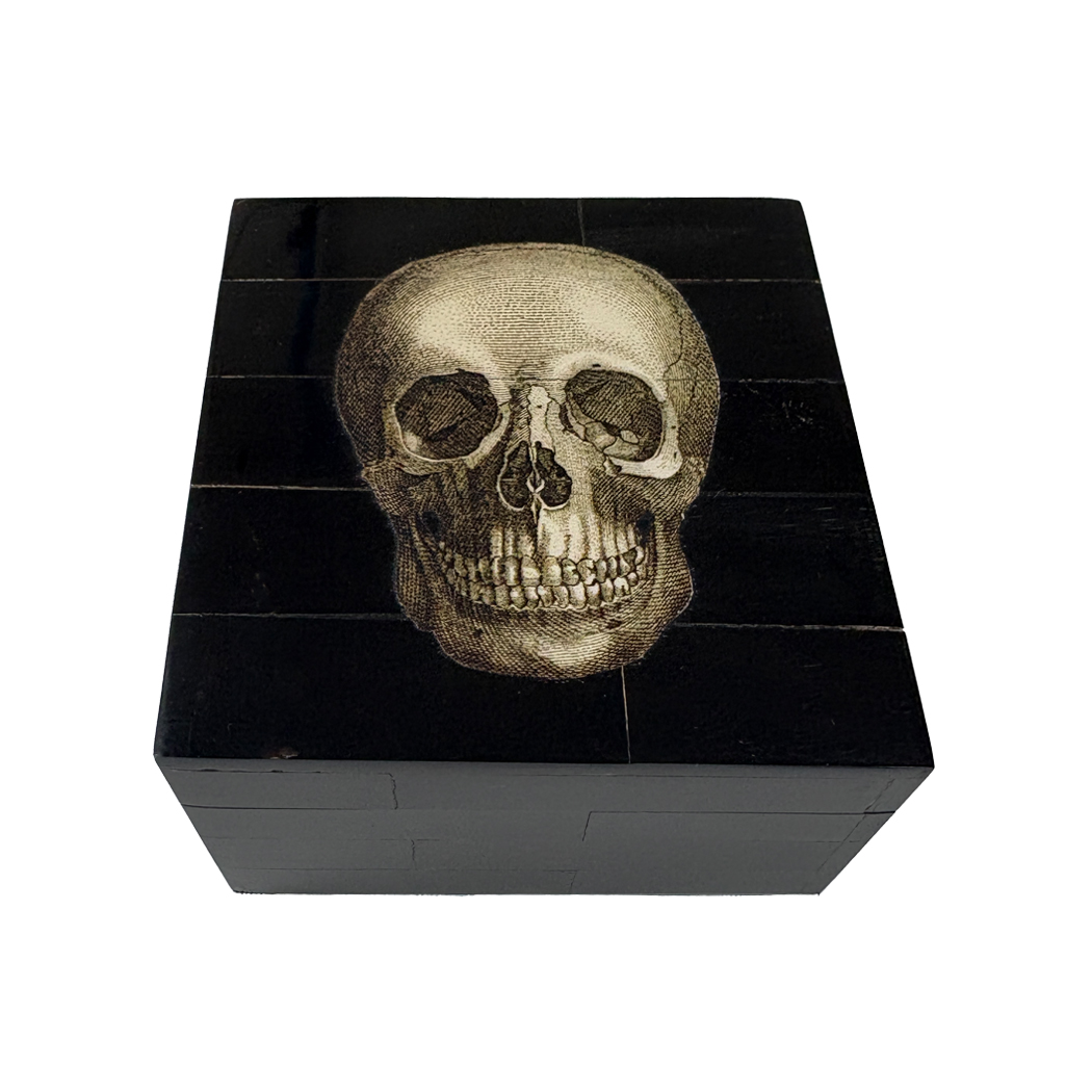Decorative Boxes Halloween Skull Black Horn Trinket Box ...