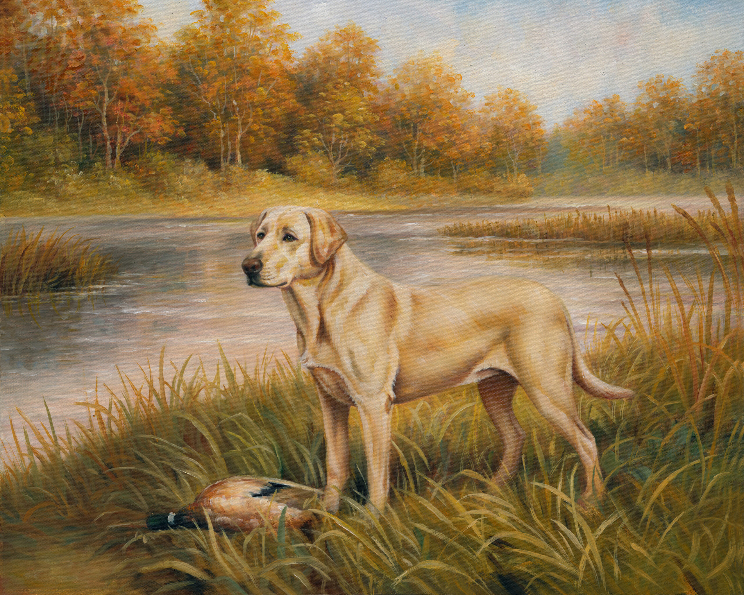 Cabin/Lodge Dogs Yellow Labrador Retriever ...