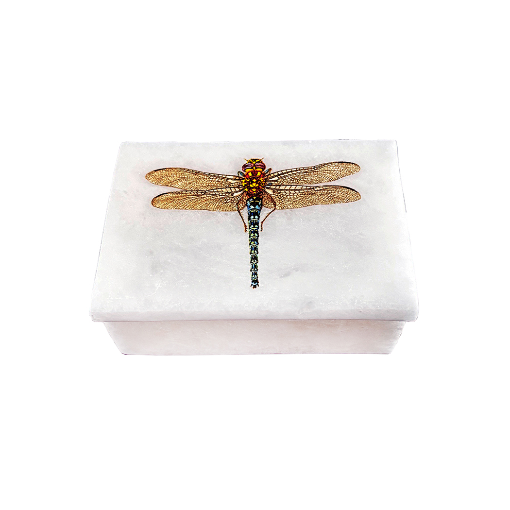 Decorative Boxes Botanical/Zoological 3″ Dragonfly White Soapstone Dec ...