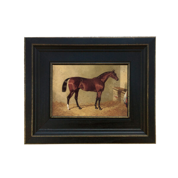 Equestrian/Fox Equestrian Bay Colt in Stable Framed Oil Painting Print on Canvas