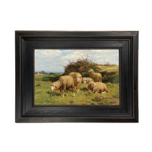 Farm/Pastoral Farm Sheep in Country Field ...