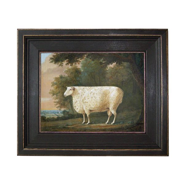 Farm/Pastoral Early American Sheep Under Tree