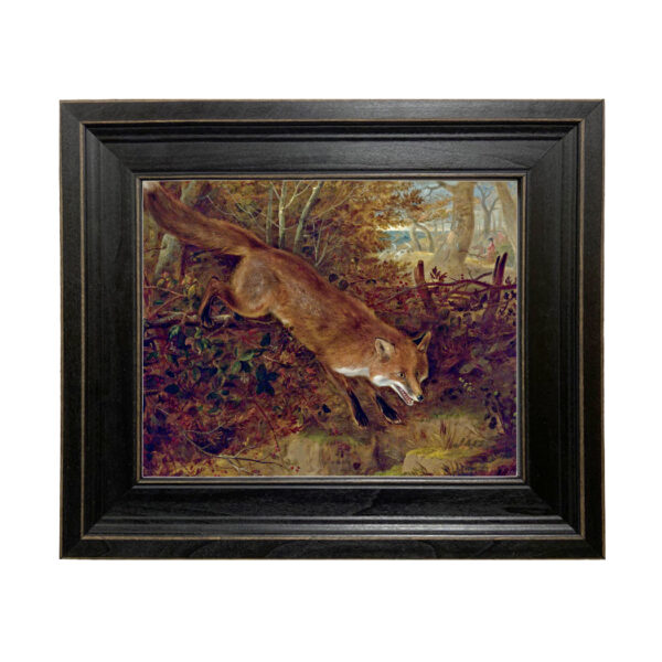Equestrian Paintings Fox Breaking for Cover by William Webb Framed Oil Painting Print on Canvas in Distressed Black Wood Frame